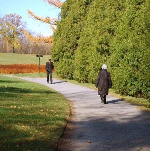 Mersul pe jos Mersul pe jos